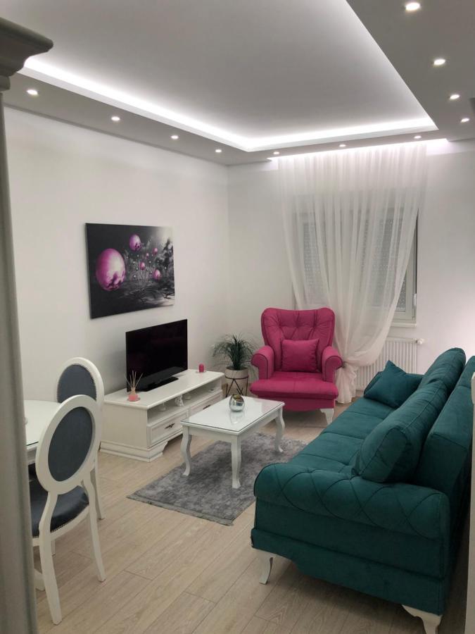 Apartman Jezdić 2 Banja Koviljača Exteriér fotografie